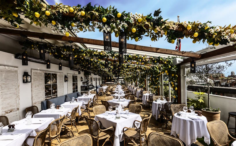 design the terrace